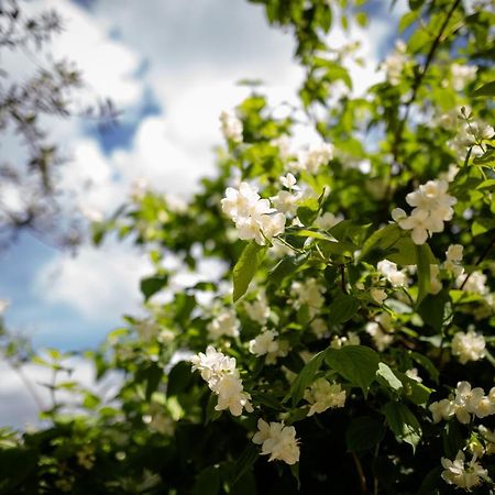 Il Giardino Bed & Breakfast Pimonte Dış mekan fotoğraf